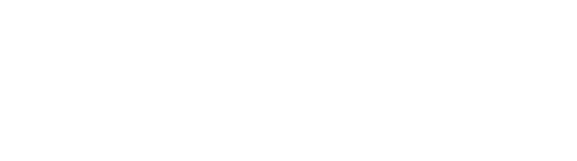 Regen-logotype-white